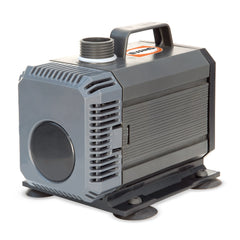 Motobomba Evans AQUA60W