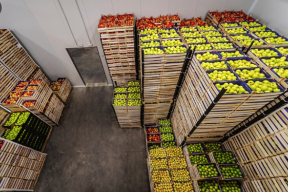 Exportaciones agrícolas solidifican la economía