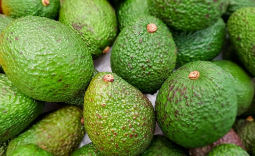 Aguacate Hass colombiano: ¿puede competir en Estados Unidos?