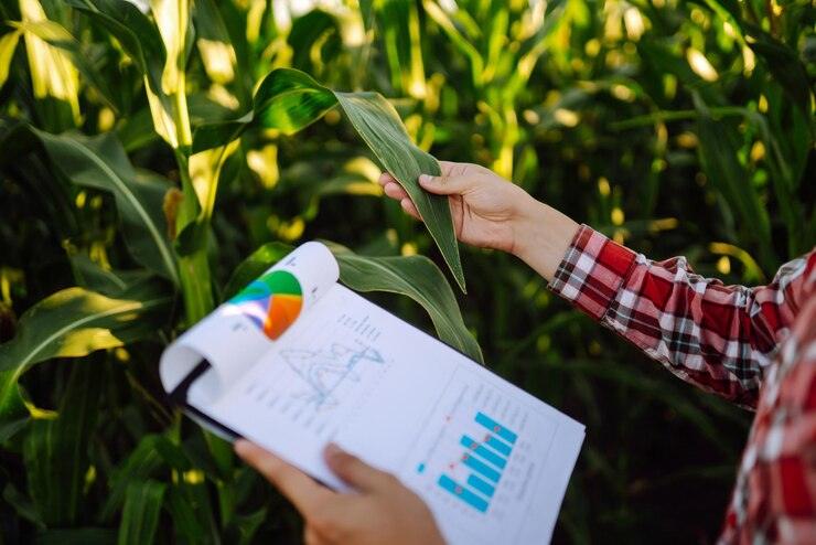 SECTOR AGRO: IMPORTANTE MOTOR DE LA ECONOMÍA NACIONAL