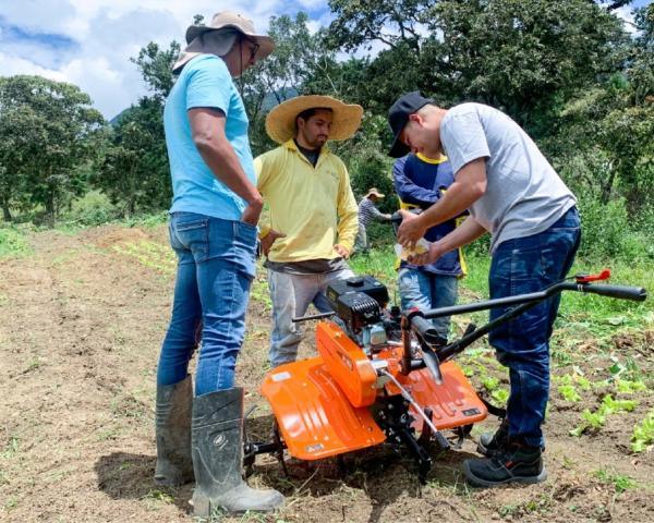 Agrotecnico