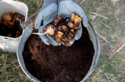 Agrotecnico